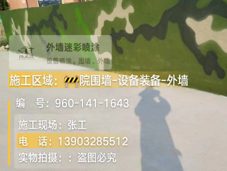 泸州 迷彩漆喷涂价格（按平方米计费）